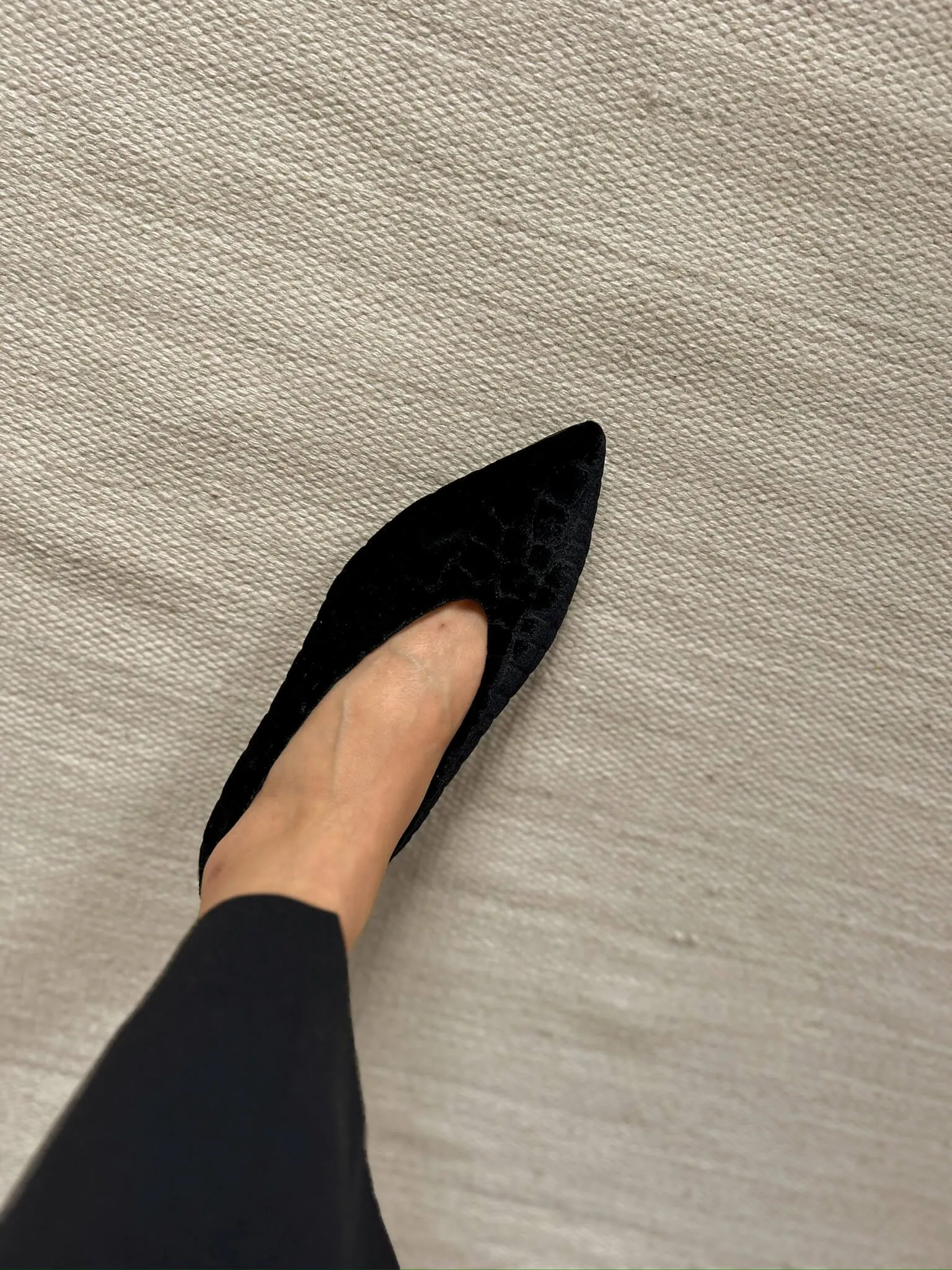 Coco V.2 Ballerines Pointues Végan Velours | Graphite