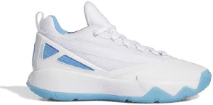 Chaussures de Basketball pour Homme Dame Certified 2 Low