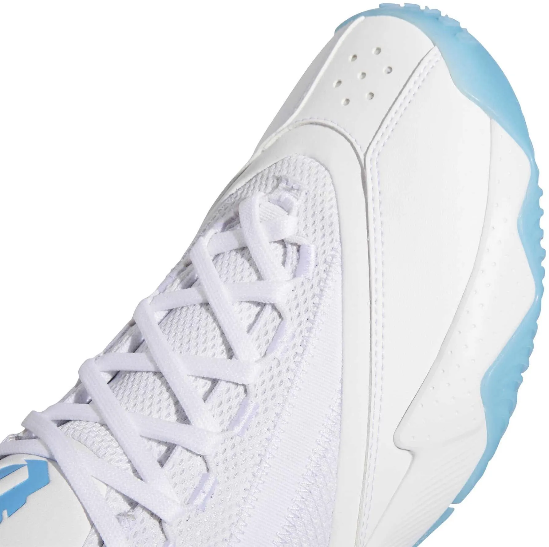Chaussures de Basketball pour Homme Dame Certified 2 Low