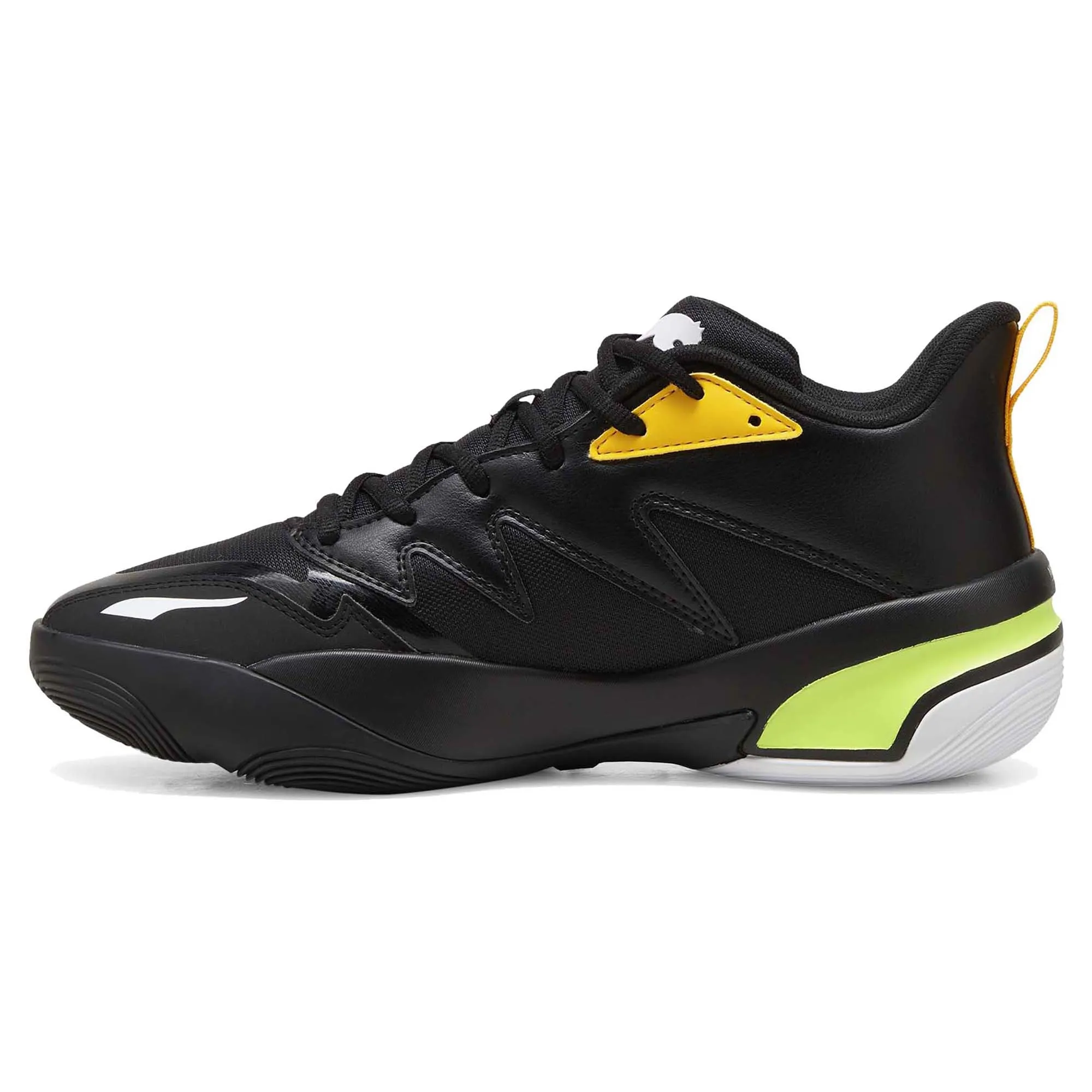 Chaussures de Basketball Homme Genetics