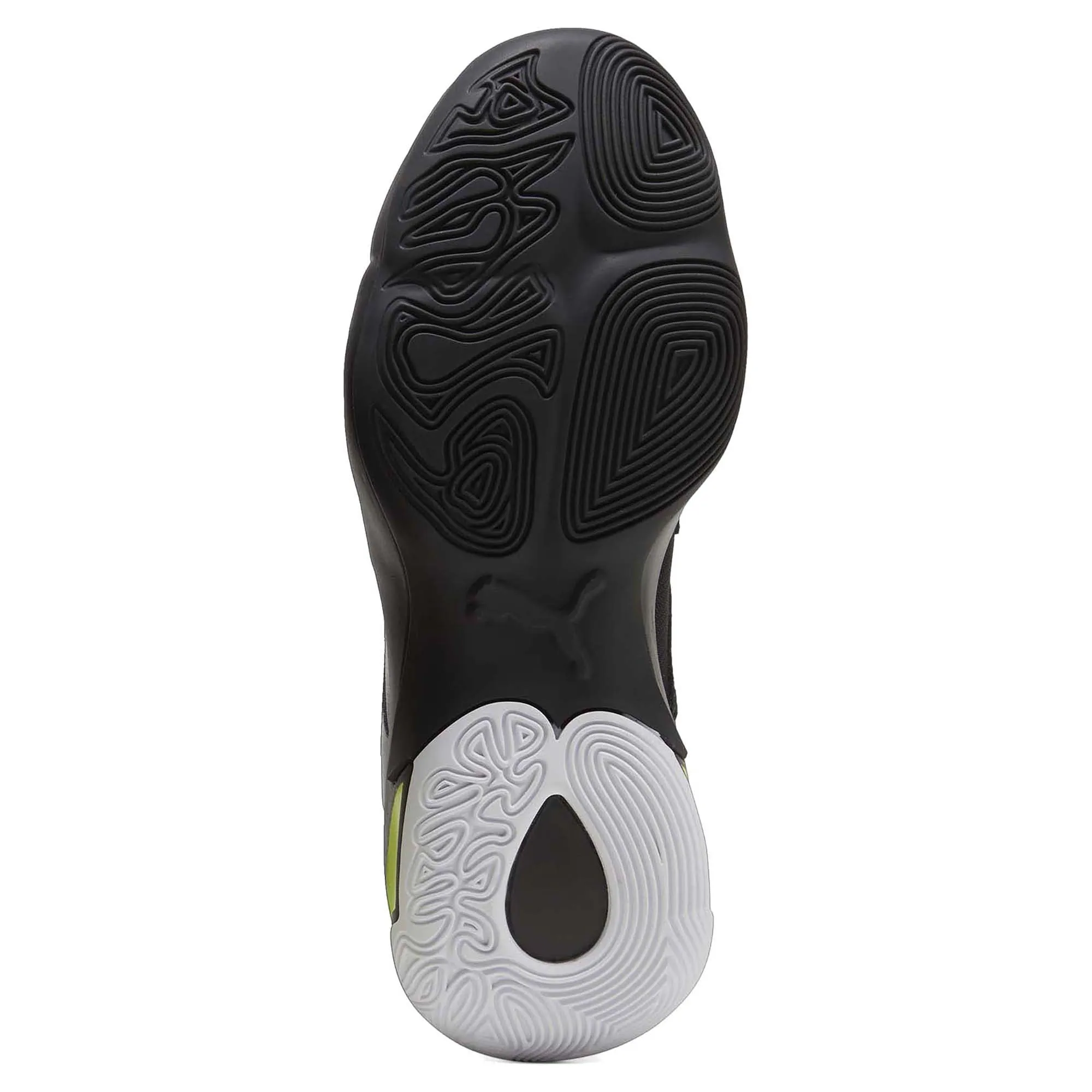 Chaussures de Basketball Homme Genetics