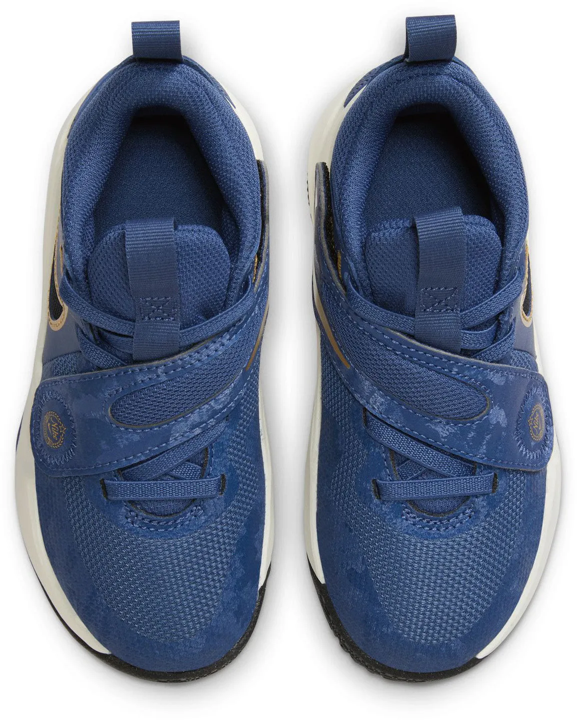 Chaussures de Basketball pour Enfants Team Hustle D 11